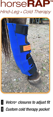 horseRAP® Hind-leg Equine Cold Therapy